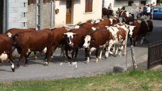 Les Bauges montée vers lArclusaz [upl. by Tak]