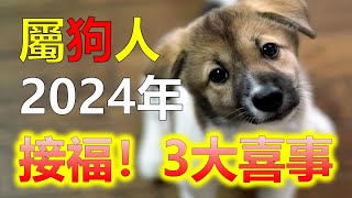 2024生肖運勢，十二生肖屬狗2024年三大喜事，分別是什麼喜事，2024年，屬狗的朋友衝太歲，運勢相比其他生肖低迷許多，十二生肖當中，許多屬相的命運會迎來全新的變化，屬狗雖然在2024年運勢不好 [upl. by Pinelli]