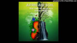 African Soil Instr 2024 [upl. by Notlih426]