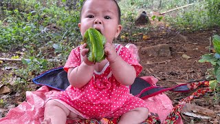 17 years old harvest star fruit to sell buy vegetables to grow [upl. by Adyl]