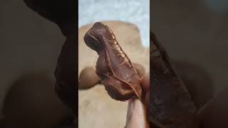 SWEETEST TAMARIND FRUITS IVE EVER TASTED‼️ asmreating tamarind tropicalfruit viralvideo shorts [upl. by Eeramit417]