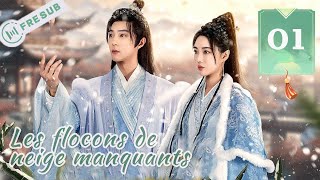 【En Français 】Les flocons de neige manquants 01💕The Missing Snowflakes💕眉雪间 CDrama YoYoFrenchChannel [upl. by Ewolram908]