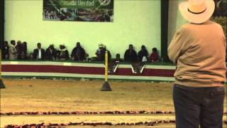 Gran Campeonato Caballos Trotones Galoperos Tunja 2013 [upl. by Renny]