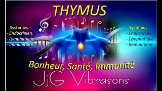 THYMUS Glande du système Endocrinien Lymphatique Immunitaire 432 Hz [upl. by Haberman]