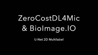 ZeroCostDL4Mic  BioImage Model Zoo tutorial [upl. by Brout]