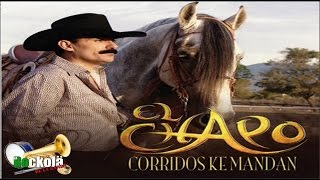 El Chapo de Sinaloa  Corridos ke Mandan  ALBUM [upl. by Marchal]