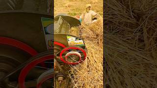 Farmers wheat threshing process process [upl. by Christye]