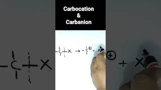 Carbocation Carbanion  Organic Chemistry  class 11  NCERT  CBSE [upl. by Aisatsan]