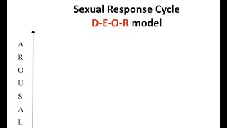 Sexual Response Cycle [upl. by Kappel79]