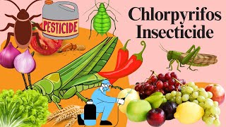 Chlorpyrifos Chemistry Mode of Action Formulation Uses and Dosage [upl. by Ekard]