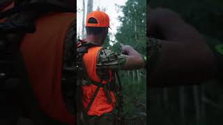 Closeup Colorado Elk Encounter [upl. by Rains409]