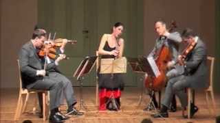 Brahms Clarinet Quintet Op 115 1 Allegro [upl. by Assirec15]