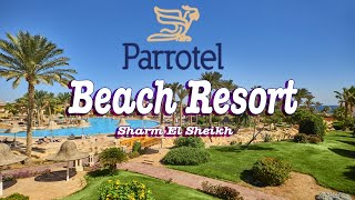 Parrotel Beach Resort 5  Nabq Bay  Sharm El Sheikh Egypt [upl. by Wurtz]