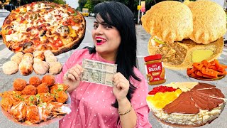 Living on Rs 1000 for 24 Hours Challenge  Noida Food Challenge [upl. by Annette167]