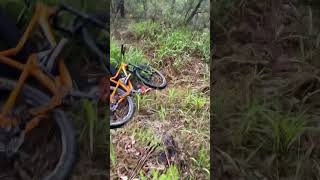 The derailleur 💀😭 funny mtb mountainbikestunts mtbfail mtbcrash [upl. by Torray]