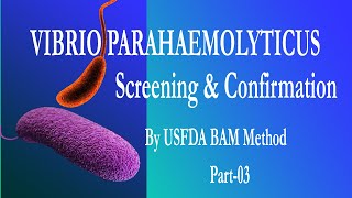 Vibrio parahaemolyticus Part 3 Screening amp Confirmation by FDA BAM [upl. by Anhpad]