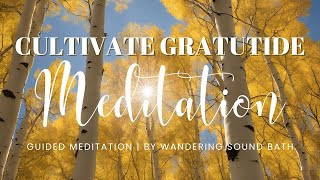 Cultivate Gratitude 10 Minute Guided Meditation [upl. by Lay]