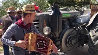 Organetto diatonico di Mauro Fiacca amp Landini testacalda sincronia Festa della Vendemmia 2017 [upl. by Drus]