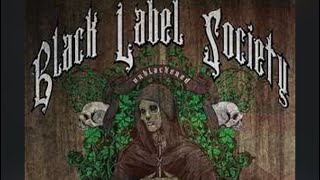 Black Label Society Unblackened 2013 Review [upl. by Llednohs]