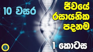 Grade 10 Science in Sinhala Medium  10 විද්‍යාව 1 පාඩම 1 කොටස  ජීවයේ රසායනික පදනම [upl. by Zednanref]