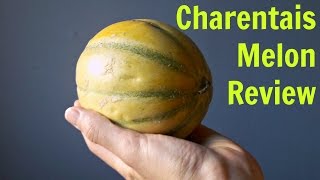 Charentais Melon Review  Weird Fruit Explorer Ep 190 [upl. by Ierbua]