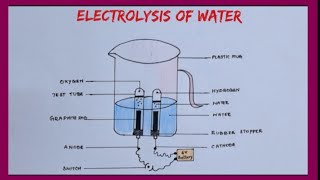 how to draw elecrolysis of water diagram easilyX science important diagram [upl. by Bowlds]