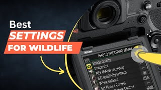 quotMastering Nikon D850 Custom Menu Settings for capturing wildlife photos A StepbyStep Guidequot [upl. by Alley]