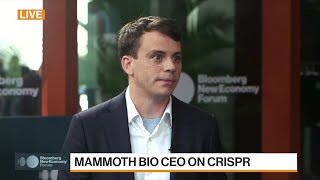 Mammoth Biosciences CEO on Crispr Technology [upl. by Clay]