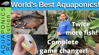 HOLISTIC AQUAPONICS the Worlds best aquaponics system revealed [upl. by Grayce]