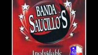 Hazme olvidarla  Banda Saucillos [upl. by Brodie]