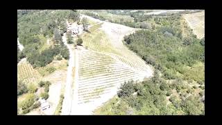 Video Cascina Belvedere 1932  Mornese Al [upl. by Cleti471]