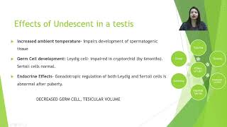 Lecture 3 Undescended testis Cryptorchidism by Dr Kanika Sharmam Pediatric Surgery IMS BHU [upl. by Assyn581]