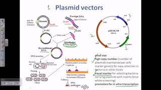 Plasmid as a cloning vector [upl. by Ardnahs]