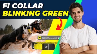 How To Fix Fi Collar Blinking Green Quick and Easy Guide [upl. by Yblok]