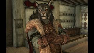 Skyrim Special Edition  New LilleMiir Follower  RaMiir D [upl. by Nirra]