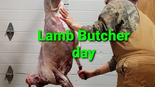 lamb butchering day warning read description before watching [upl. by Sharline]