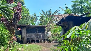 Vlog Family Visit Lae  Papua New Guinea 2023 [upl. by Kenaz621]