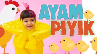 AYAM PIYIK  MAZAYA Official Music Video [upl. by Leunad480]