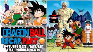 Dragon Ball  FORTUNETELLER BABA amp TIEN SHINHAN SAGA Recap  History of Dragon Ball [upl. by Mihe]