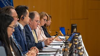 WIPO Member States Adopt New Treaty on IP Genetic Resources and Associated Traditional Knowledge [upl. by Germano]