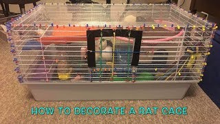 How to Setup a Rat Cage [upl. by Atinek241]