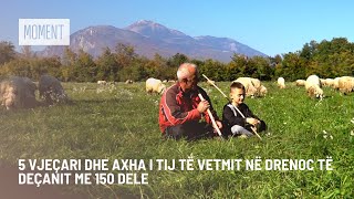 5 vjeçari dhe axha i tij të vetmit në Drenoc të Deçanit me 150 dele [upl. by Einattirb]