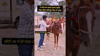 4 साल का बच्चा इतना कीमती घोड़ा को दौड़ा रहा 😱 सोनपुर मेला में ll horse horsemarket sonpurmela [upl. by Jacenta]