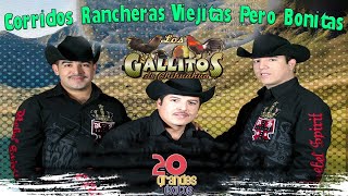 Los Gallitos de Chihuahua Album Con Tololoche  Corridos Rancheras Viejitas Mix Para Pistear [upl. by Epperson745]