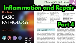 Mediators of InflammationMediators of Acute inflammation  Inflammatory mediatorsRobbins pathology [upl. by Suirrad52]