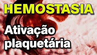 Coagulação Sanguínea  Ativação Plaquetária  Hemostasia [upl. by Dlanor255]