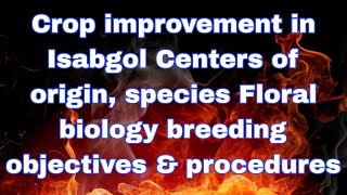 Crop improvement in Isabgol Centers of origin species Floral biology breeding objectivesampprocedures [upl. by Enovaj]