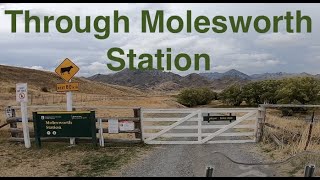 Through Molesworth Station [upl. by Bast]