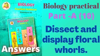 Dissect and display floral whorls biology practical class 12 experiment 10 part A answers [upl. by Llehsar411]