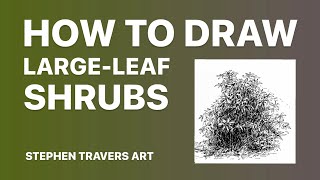 How to Draw a LargeLeafed Shrub [upl. by Ettennod]